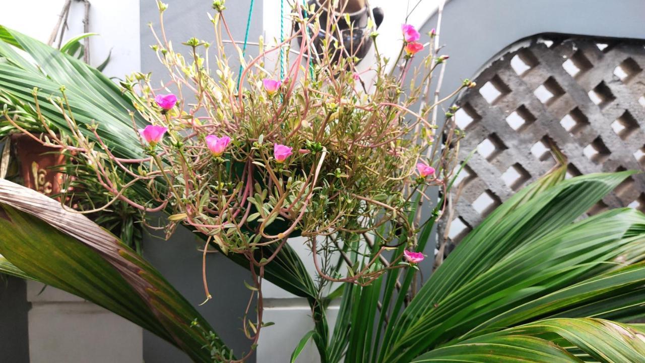 كوي نون Homestay Nha Muoi المظهر الخارجي الصورة